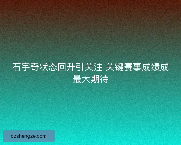 石宇奇状态回升引关注 关键赛事成绩成最大期待