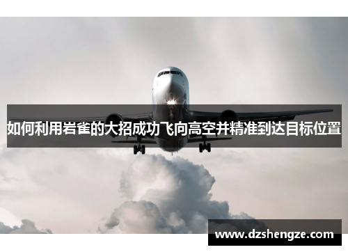 如何利用岩雀的大招成功飞向高空并精准到达目标位置